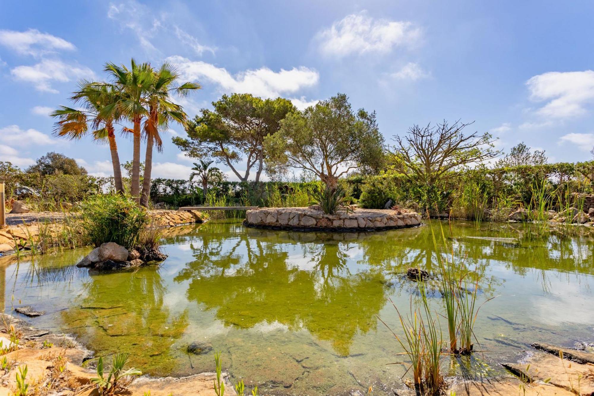 Can Talaia By Dracmallorca Cala Figuera  Exterior photo