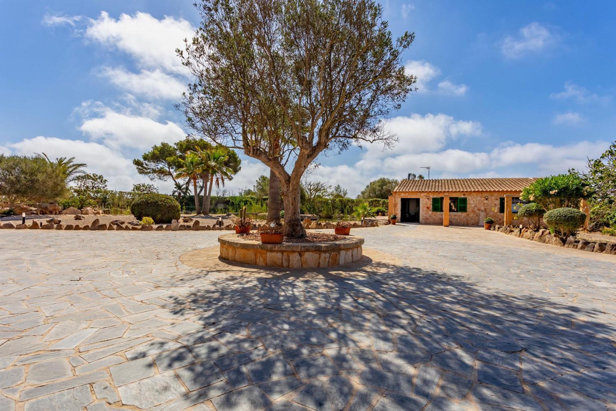 Can Talaia By Dracmallorca Cala Figuera  Exterior photo